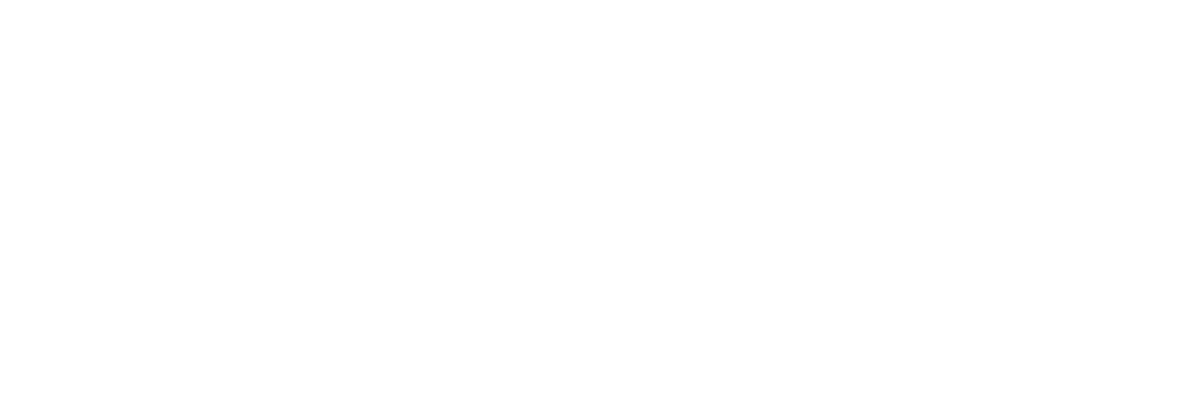 SINOPEC Engineering Incorporation (SEI)