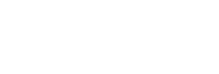 SINOPEC Engineering Incorporation (SEI)